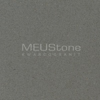 Gris Expo Silestone - MEUStone