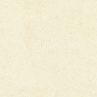 Champagne - MEUStone
